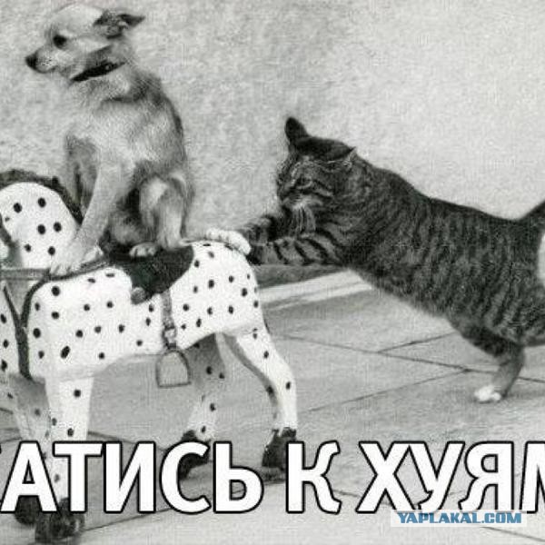 Вчерашний пи..ц , произошедший на Украине