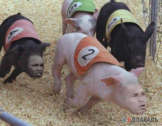 Все о БУШЕ