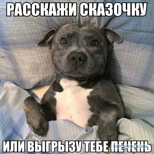 То, что улыбнуло в 2015