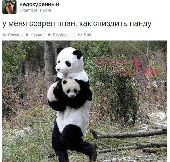 Подборка прикольных картинок