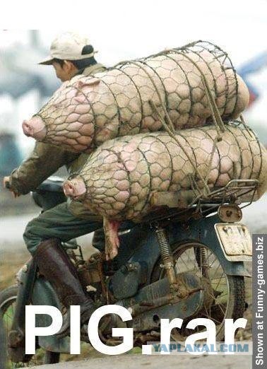 Овчарка. ZIP