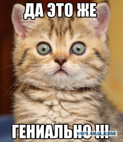 Подборка картинок 17.02.16