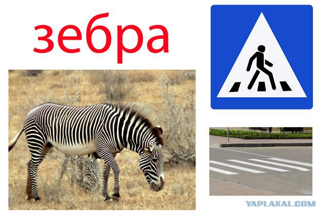 Поиграем в омонимы