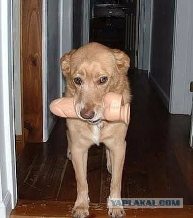 Немножко "странных" фото.