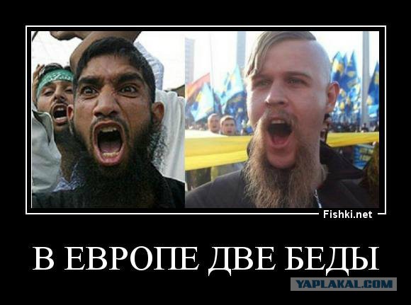 СМИ: 64% голландцев высказались против ассоциации Украины с ЕС