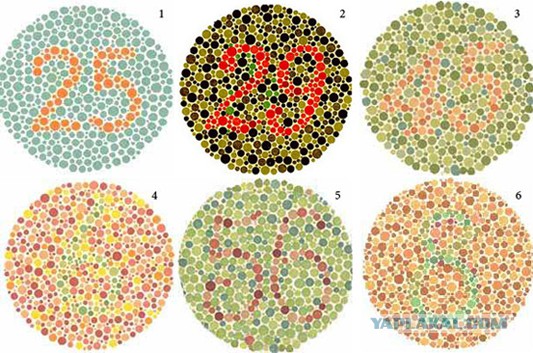 Из жизни дальтоника.