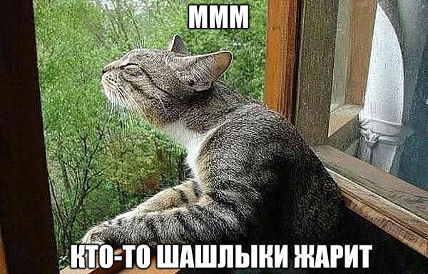 Картинки на пятницу