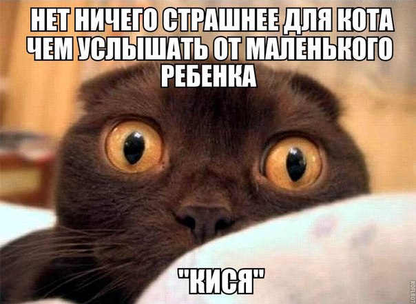 Мохнатые беспредельщики