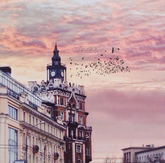 Картинки всякие