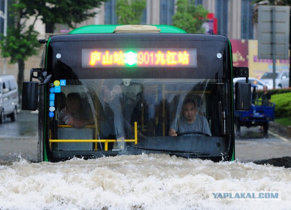 Автомото...