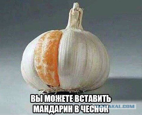 Немного картинок на выходные     20 шт