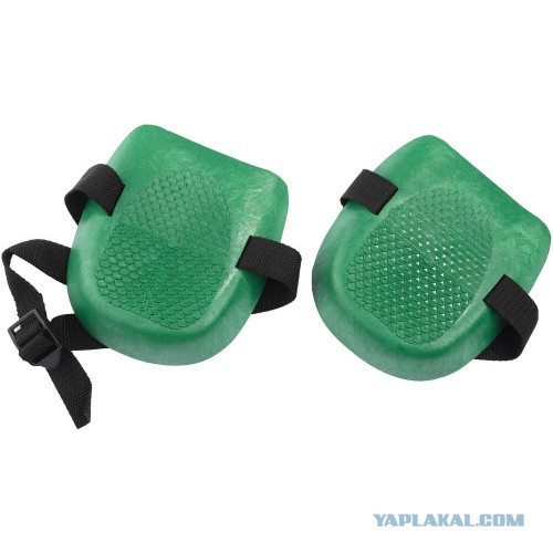 Бабораб. Норма?