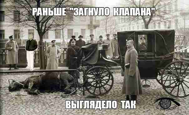 Картинки. 50 шт.