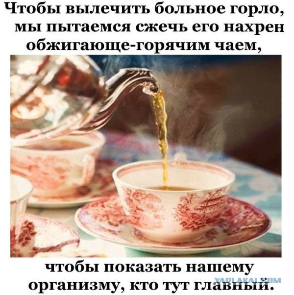 Подборка интересных и веселых картинок