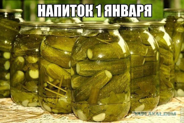 Подборка интересных и веселых картинок