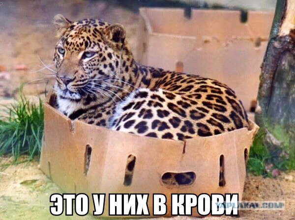 Подборка интересных и веселых картинок