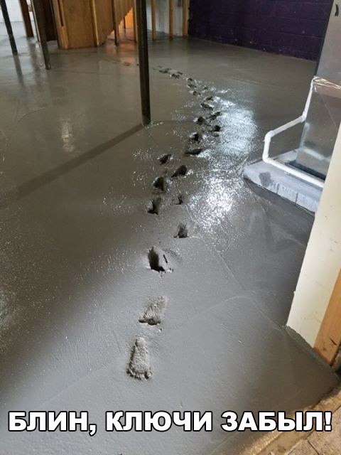 Подборка интересных и веселых картинок