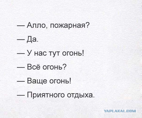 Забавные комментарии, шутки и фразы из этих ваших интернетов