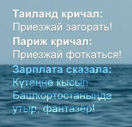 Картинки из интернетов