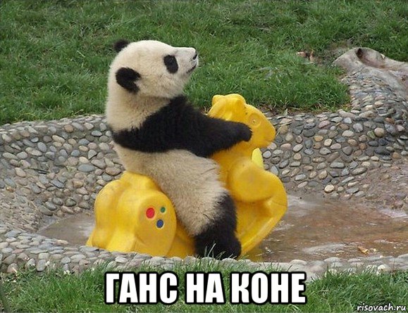 Футбольный клуб. Сезон 2017-2018