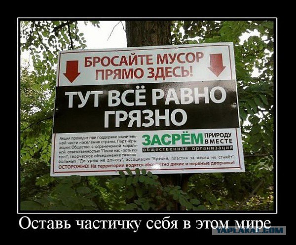 Как я ходил на рейды проекта СтопХам
