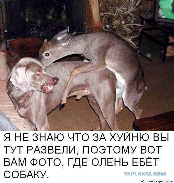 Название темы