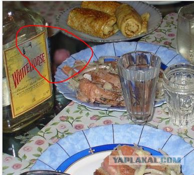 Открыл холодильник, а там...