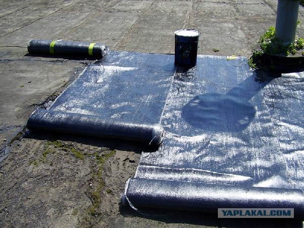 Звездуны и звездульки негодуют