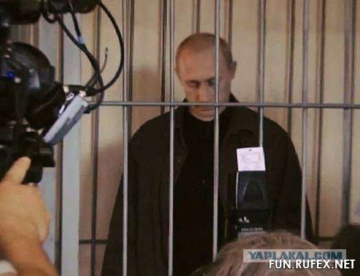Задаем вопросы на прямую линию с ВВП