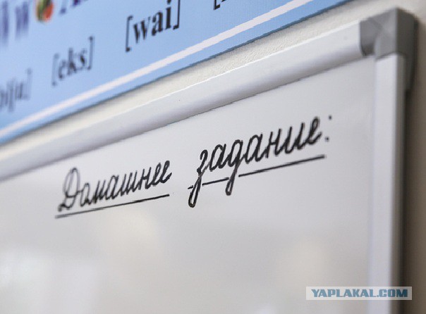 Депутат Госдумы назвал школьные домашние задания ненужными и призвал отказаться от них в пользу прогулок 