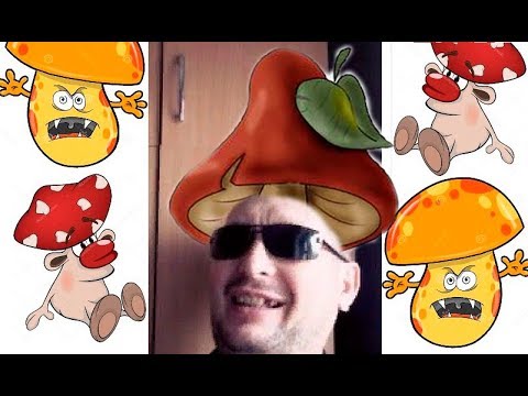 Пашкет, демотиваторы и мемы