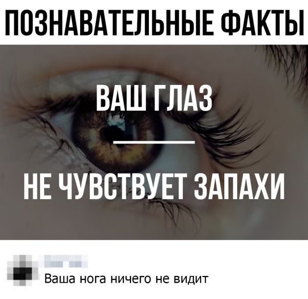 Немного картинок перед сном