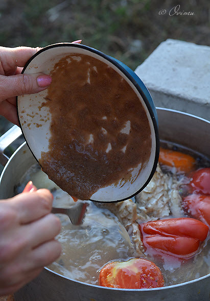 Дачная юшка на берегу Днепра