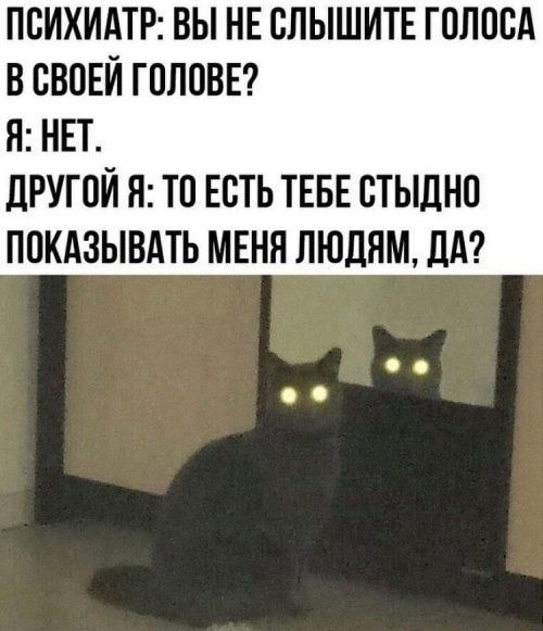 Как вы относитесь к новому мужчине?