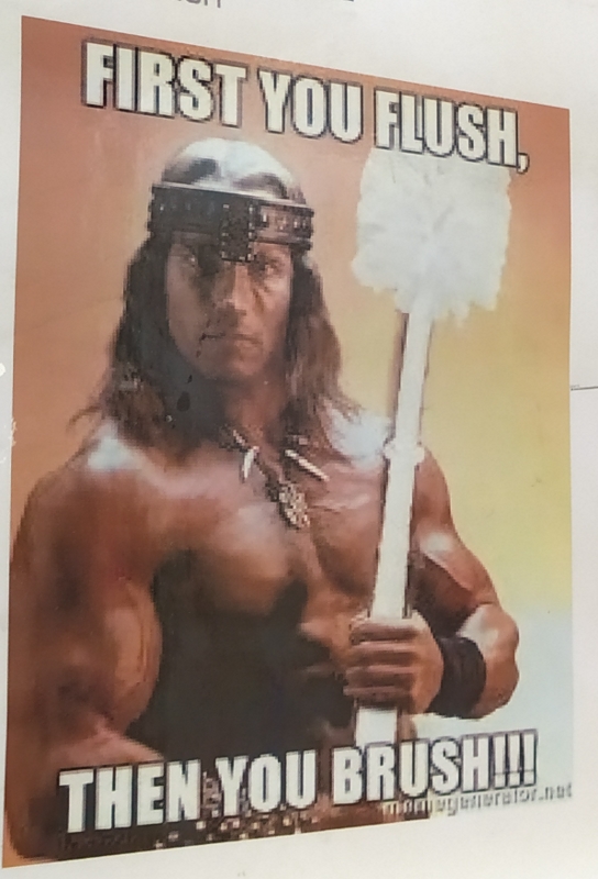 Применим физику в постели или белка и стрелка. Картинки