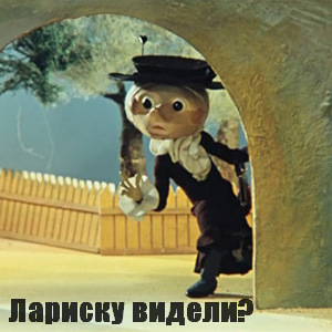 Горностай в городе
