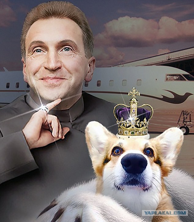 «Аэрофлот» лишил пассажира бонусных миль за перевозку толстого кота в самолете