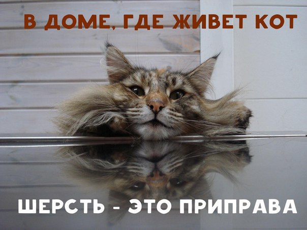 Древние мемы с ВК. Для тех кто забыл #6