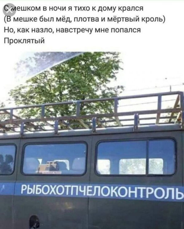 Так себе картинки 13.06.20