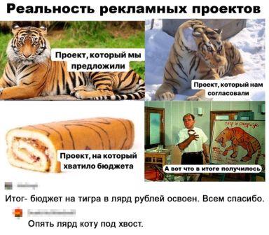 Немного картинок для настроения 05.08.20