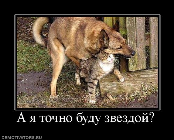 Подборках древних демотиваторов. Ч. 1