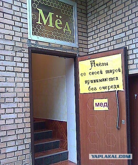 Фотожаба: Хочешь меда - бери с собой медведя