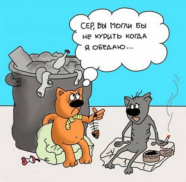 С котопятницей! Улыбнемся?