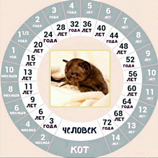 Прикольные и просто красивые картинки 10.03.2011