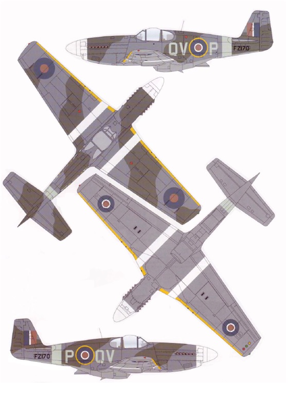 P-51 Mustang