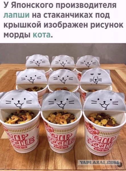 Картинки и мемы для настроения 12.08.2021