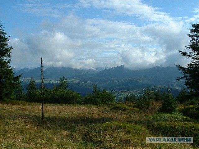 Карпаты, Закарпатье.