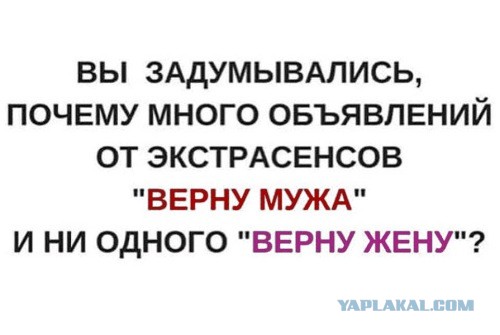 "Купил коту игрушку" и другие картинки