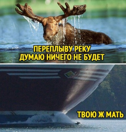 Юные украинские яхтсмены блокировали яхту Абрамовича