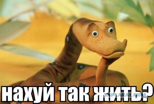 Шизофрения